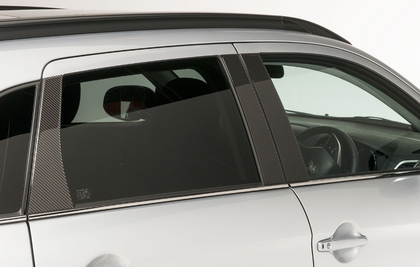 Mitsubishi Pillar Decoration, Carbon