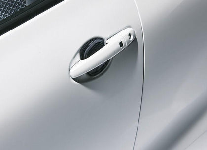 Suzuki Door Handle Escutcheon - Carbon