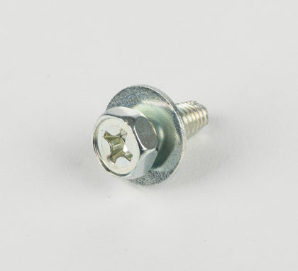 Suzuki Screw (x1)